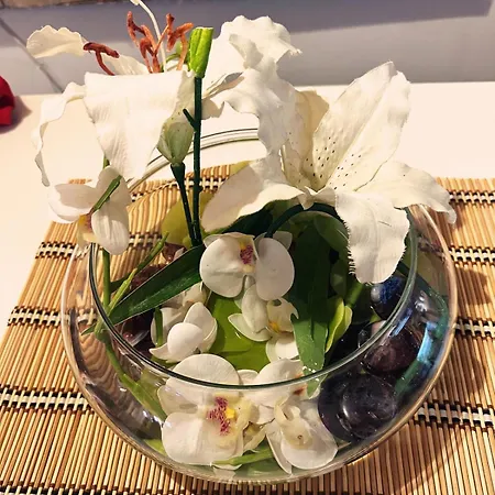 Rum i privatbostad Nuriahboutique Lisboa