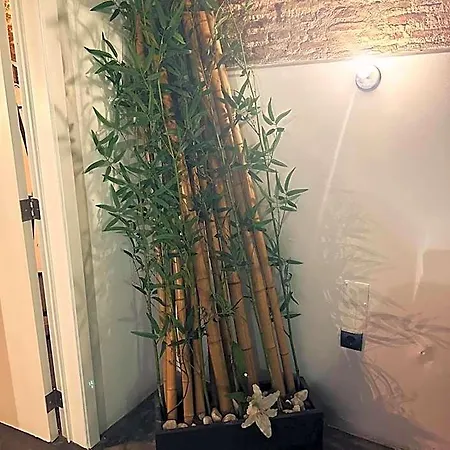 Nuriahboutique Accommodatie bij particulieren *