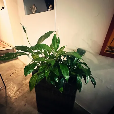 Nuriahboutique Ubytování v soukromí *