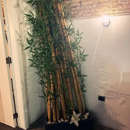 Проживание в семье Nuriahboutique